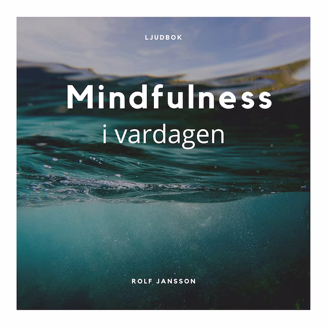 Omslag: Mindfulness i vardagen - Meditation och medveten närvaro för ett lugnare sinne