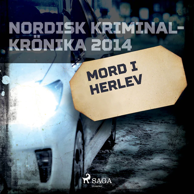 Omslag: Mord i Herlev