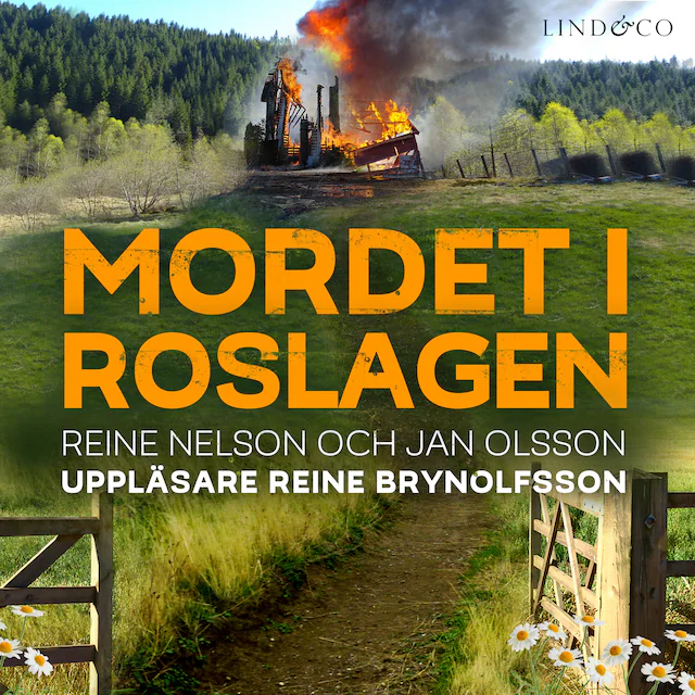 Omslag: Mordet i Roslagen