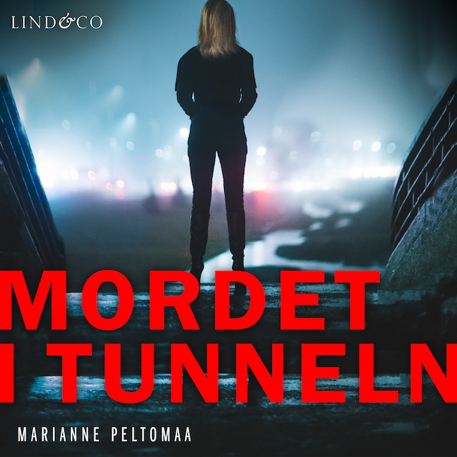Omslag: Mordet i tunneln
