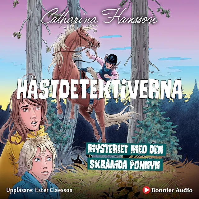 Omslag: Mysteriet med den skrämda ponnyn