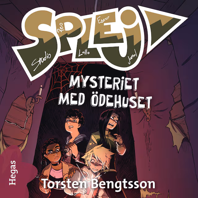 Omslag: Mysteriet med ödehuset