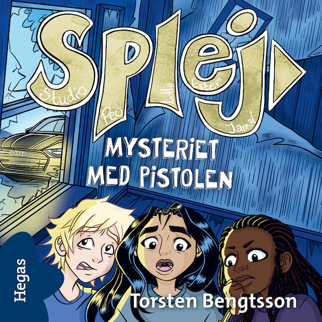 Omslag: Mysteriet med pistolen