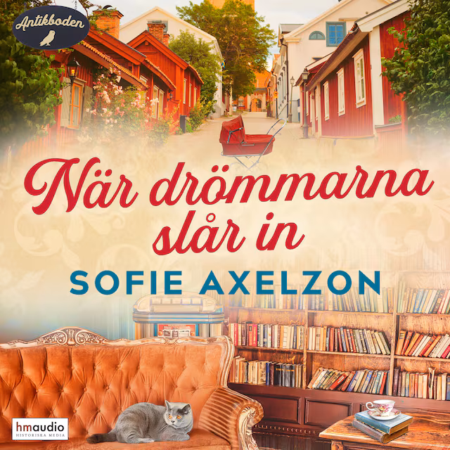 Omslag till ljudboken När drömmarna slår in