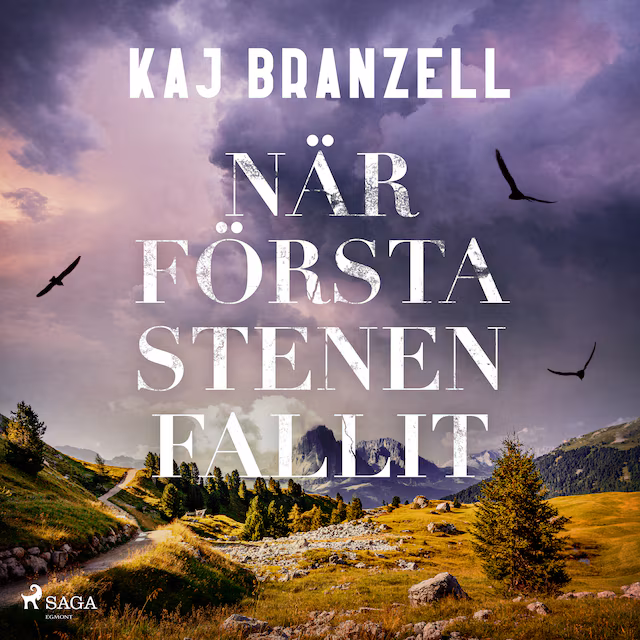Omslag: När första stenen fallit