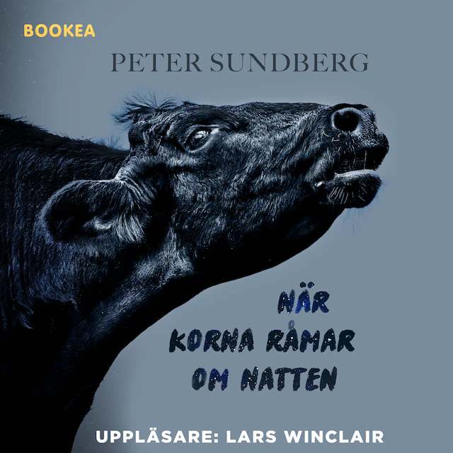 Omslag: När korna råmar om natten