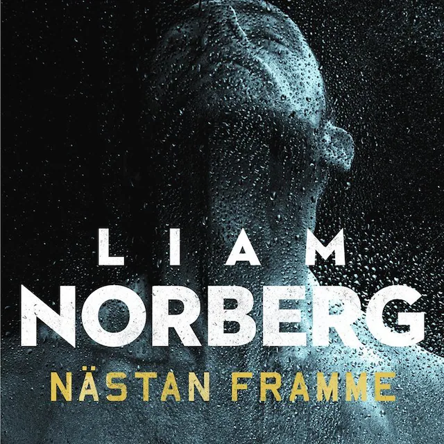 Omslag: Nästan framme