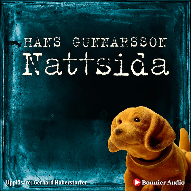 Omslag: Nattsida