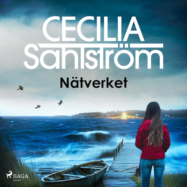 Omslag: Nätverket