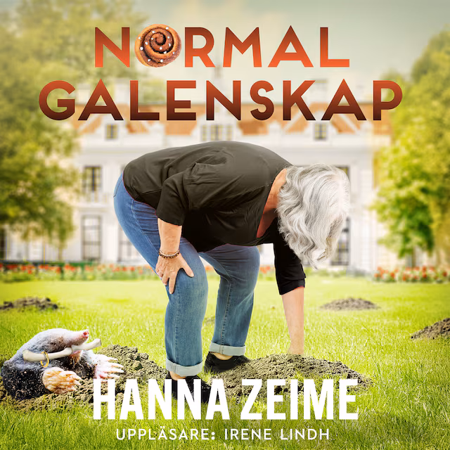 Omslag: Normal galenskap