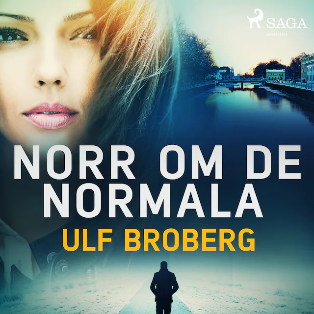Omslag: Norr om de normala