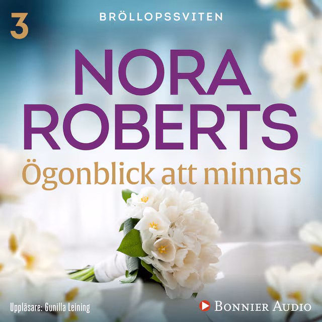 Omslag: Ögonblick att minnas
