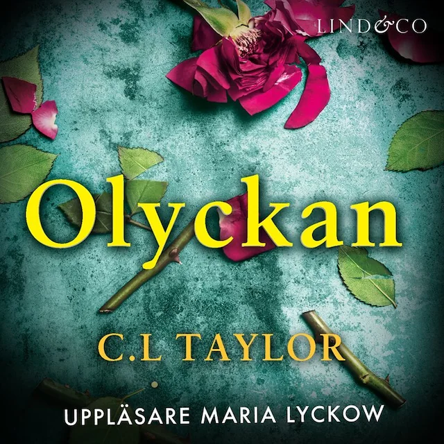 Omslag: Olyckan