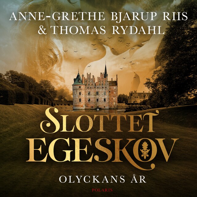 Omslag: Olyckans år