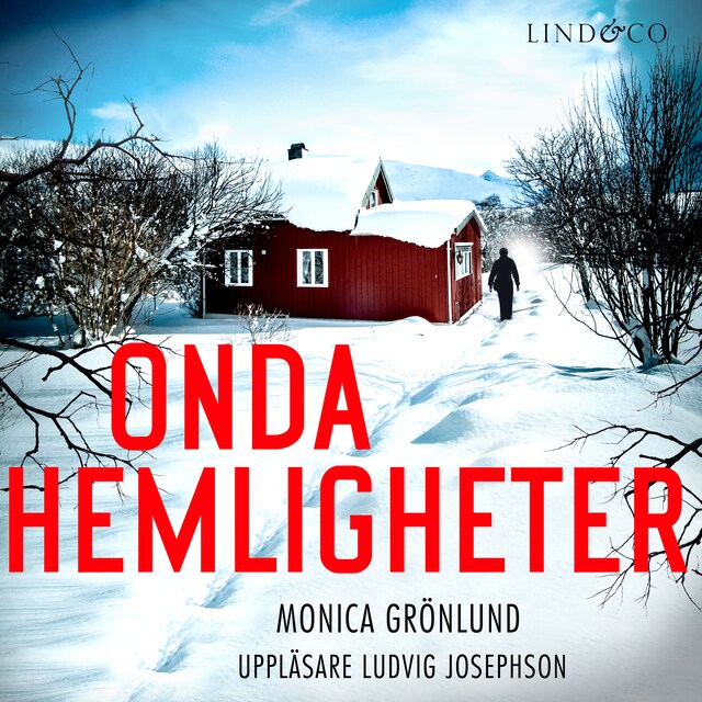 Omslag: Onda hemligheter