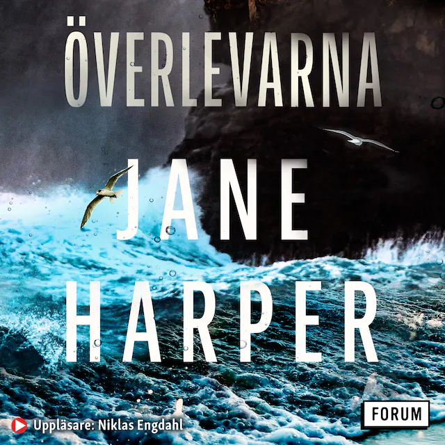 Omslag: Överlevarna