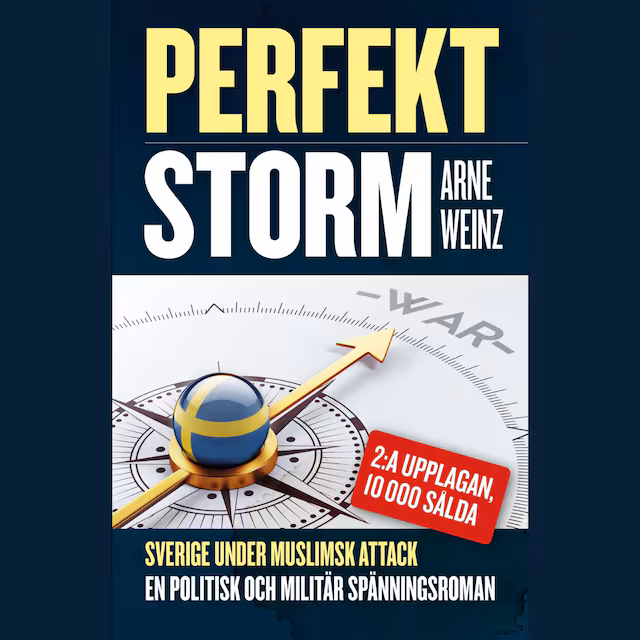 Omslag: Perfekt storm