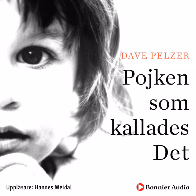 Omslag: Pojken som kallades det