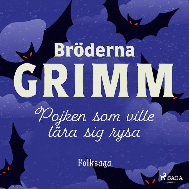 Omslag: Pojken som ville lära sig rysa