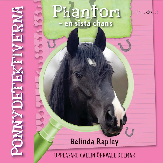 Omslag: Ponnydetektiverna. Phantom - en sista chans
