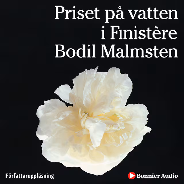 Omslag: Priset på vatten i Finistère