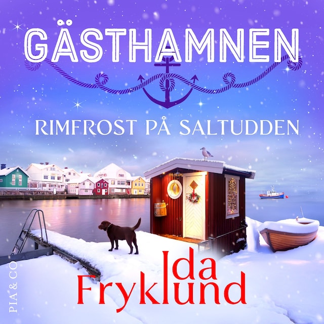 Omslag: Rimfrost på Saltudden
