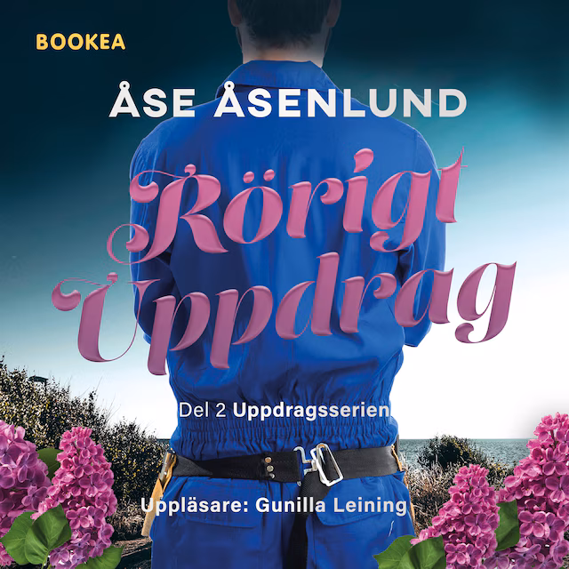 Omslag: Rörigt uppdrag