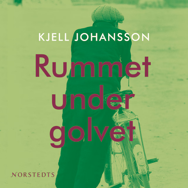 Omslag: Rummet under golvet
