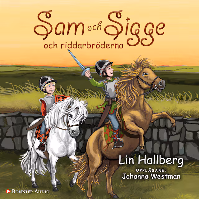 Omslag: Sam och Sigge och riddarbröderna