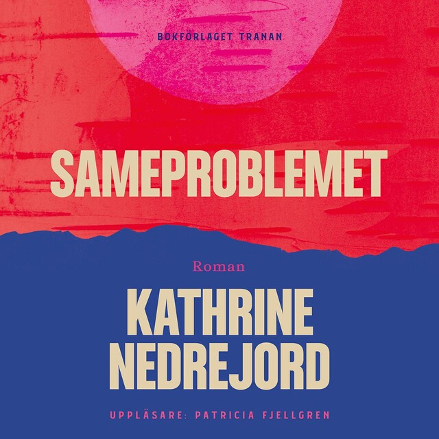 Omslag till ljudboken Sameproblemet