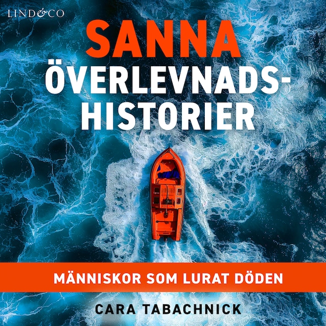 Omslag till ljudboken Sanna överlevnadshistorier: Människor som lurat döden