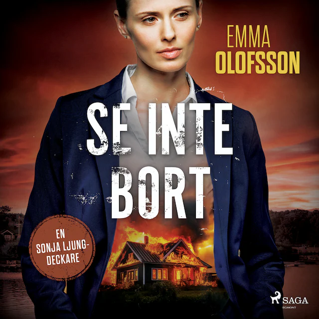 Omslag: Se inte bort