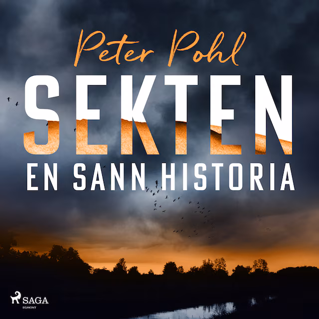 Omslag: Sekten: en sann historia