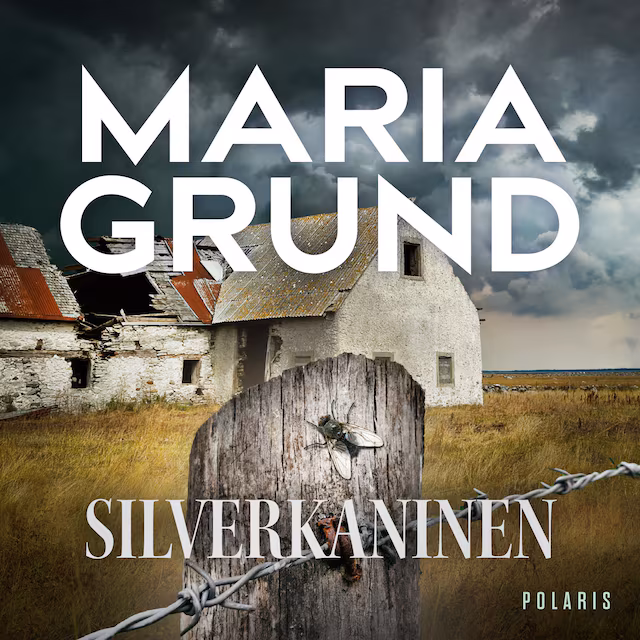 Omslag till ljudboken Silverkaninen