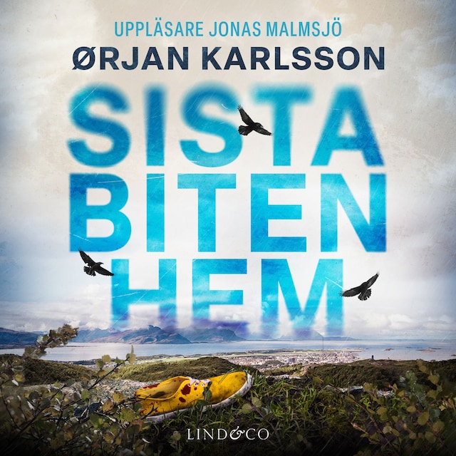 Omslag till ljudboken Sista biten hem