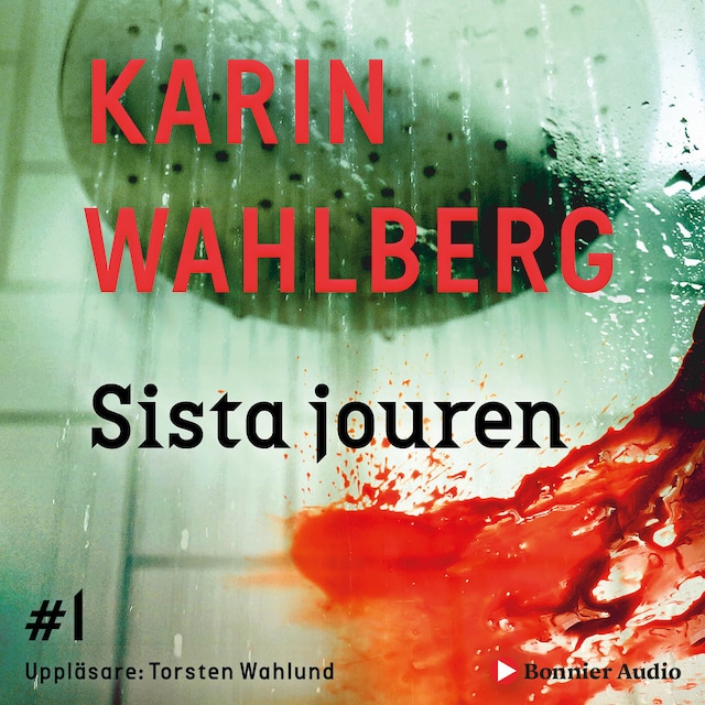 Omslag: Sista jouren