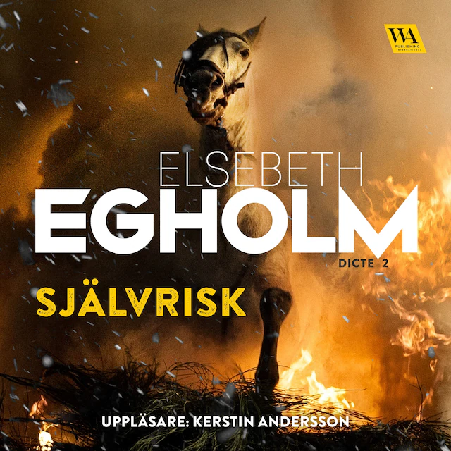 Omslag: Självrisk