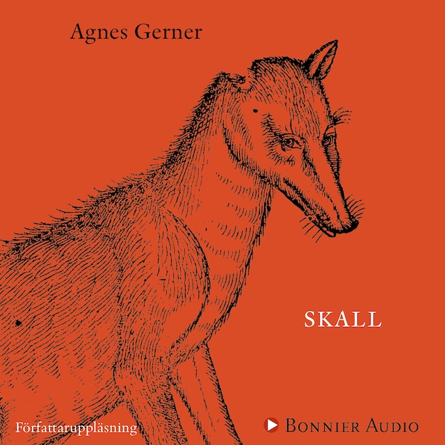 Omslag: Skall