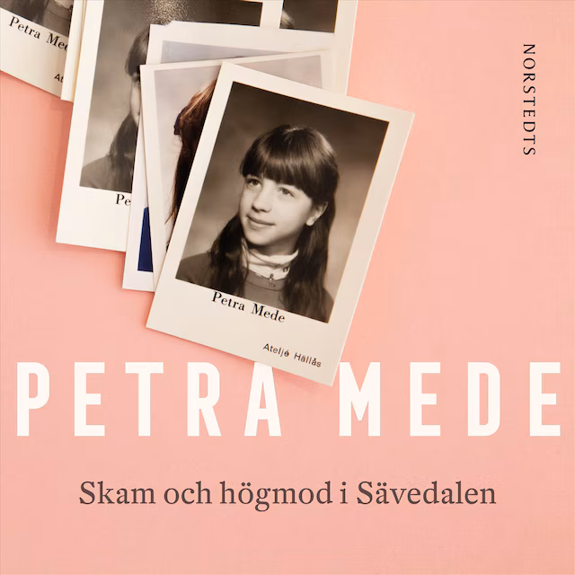 Omslag: Skam och högmod i Sävedalen