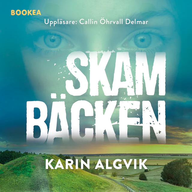 Omslag: Skambäcken