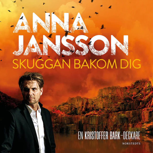 Omslag: Skuggan bakom dig