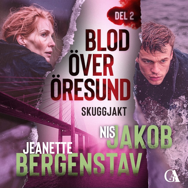 Omslag: Skuggjakt
