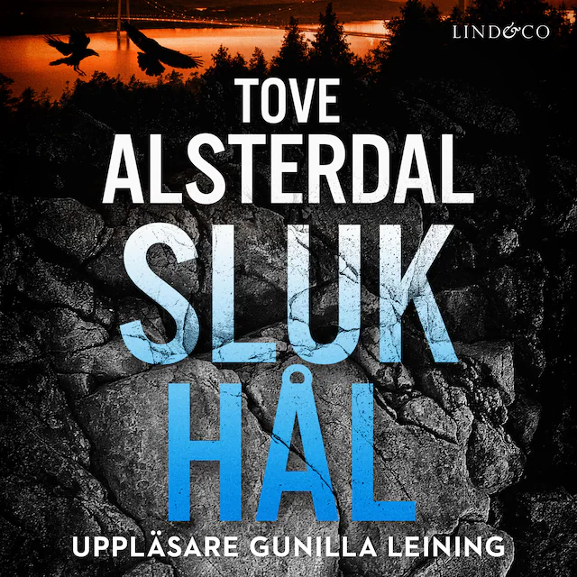 Omslag: Slukhål
