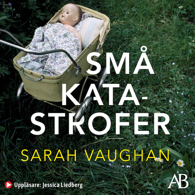 Omslag: Små katastrofer