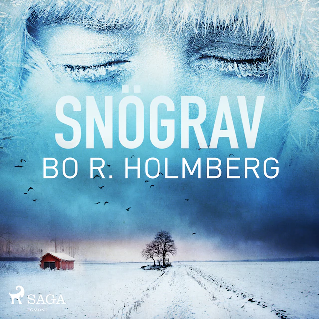 Omslag: Snögrav