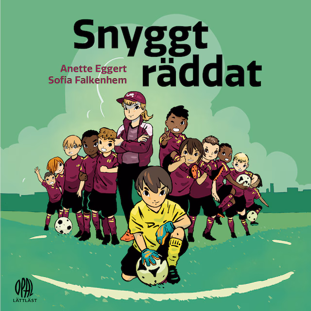 Omslag: Snyggt räddat