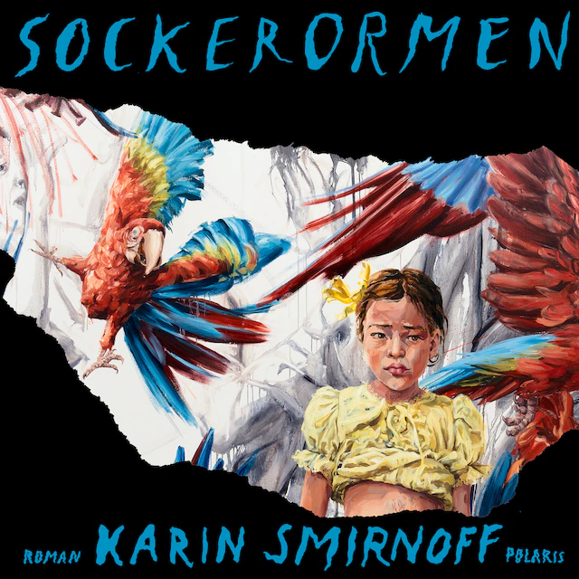 Omslag: Sockerormen