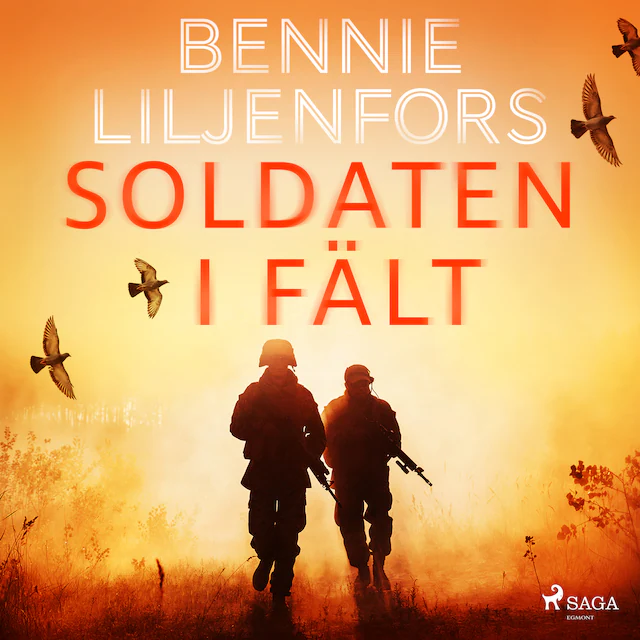 Omslag: Soldaten i fält