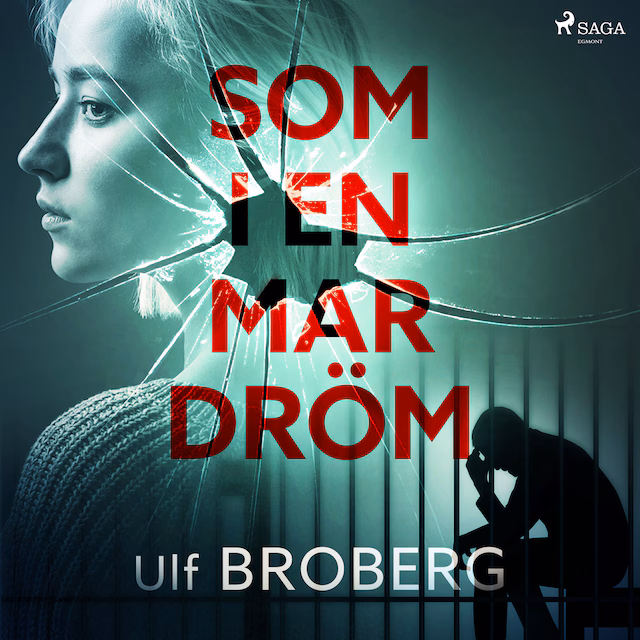 Omslag: Som i en mardröm