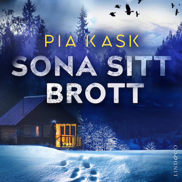 Omslag: Sona sitt brott
